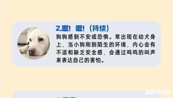 狗语言翻译