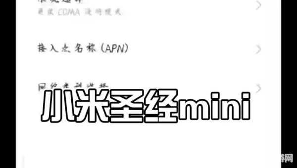 小米圣经