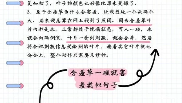 含羞草免费观看