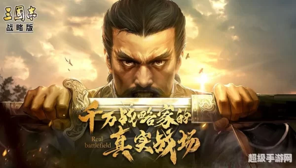 三国志133dm