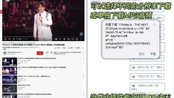 safari插件