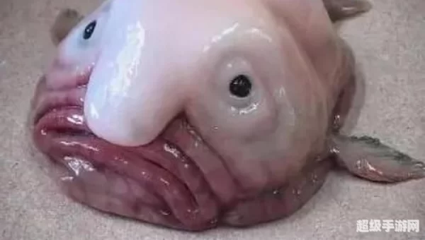 十大深海怪物