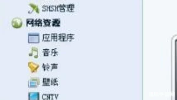 镜像模式