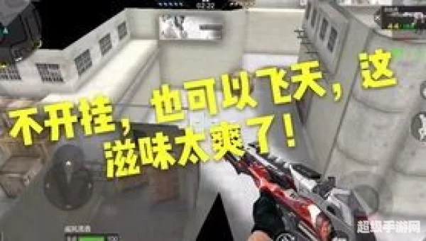 沙漠灰bug